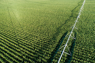 Farmland irrigation system